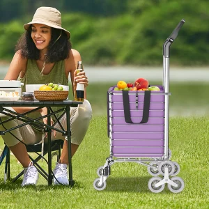 Trolley Laundry Folding Shopping Cart Basket Grocery Stair Climbing Handcart on Wheels Utility